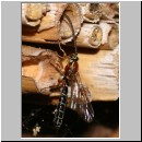 Perithous speculator - Schlupfwespe 01c 10mm.jpg